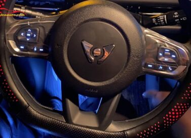 Cụm phím vô lăng Vinfast Limo Green