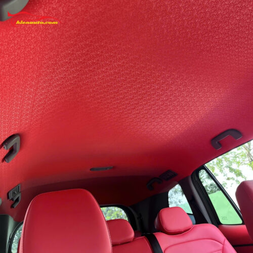 Đổi màu nội thất Mitsubishi Destinator: Bọc trần kim cương 